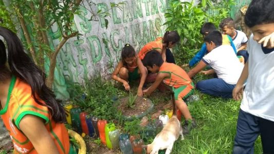 Projeto Soltando a Voz em Parintins (AM)