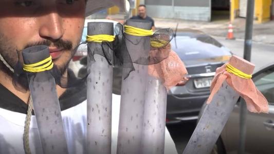 Projeto tem parceria com Fundação Oswaldo Cruz e World Mosquito Program, sem fins lucrativos