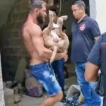 Pitbull é morto a tiros após atacar promotor de justiça no Rio de Janeiro