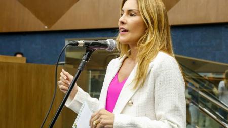 Proposta é de autoria da vereadora Flávia Borja (PP)