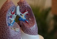 Transplante de pulmão: entenda riscos, fila e recuperação após cirurgia