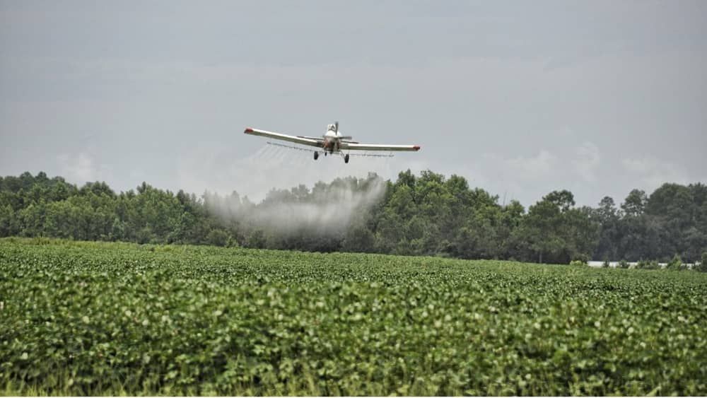 ‘Chegamos a uma situação inaceitável’, diz professor sobre contaminação da água por agrotóxicos  