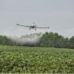 ‘Chegamos a uma situação inaceitável’, diz professor sobre contaminação da água por agrotóxicos  