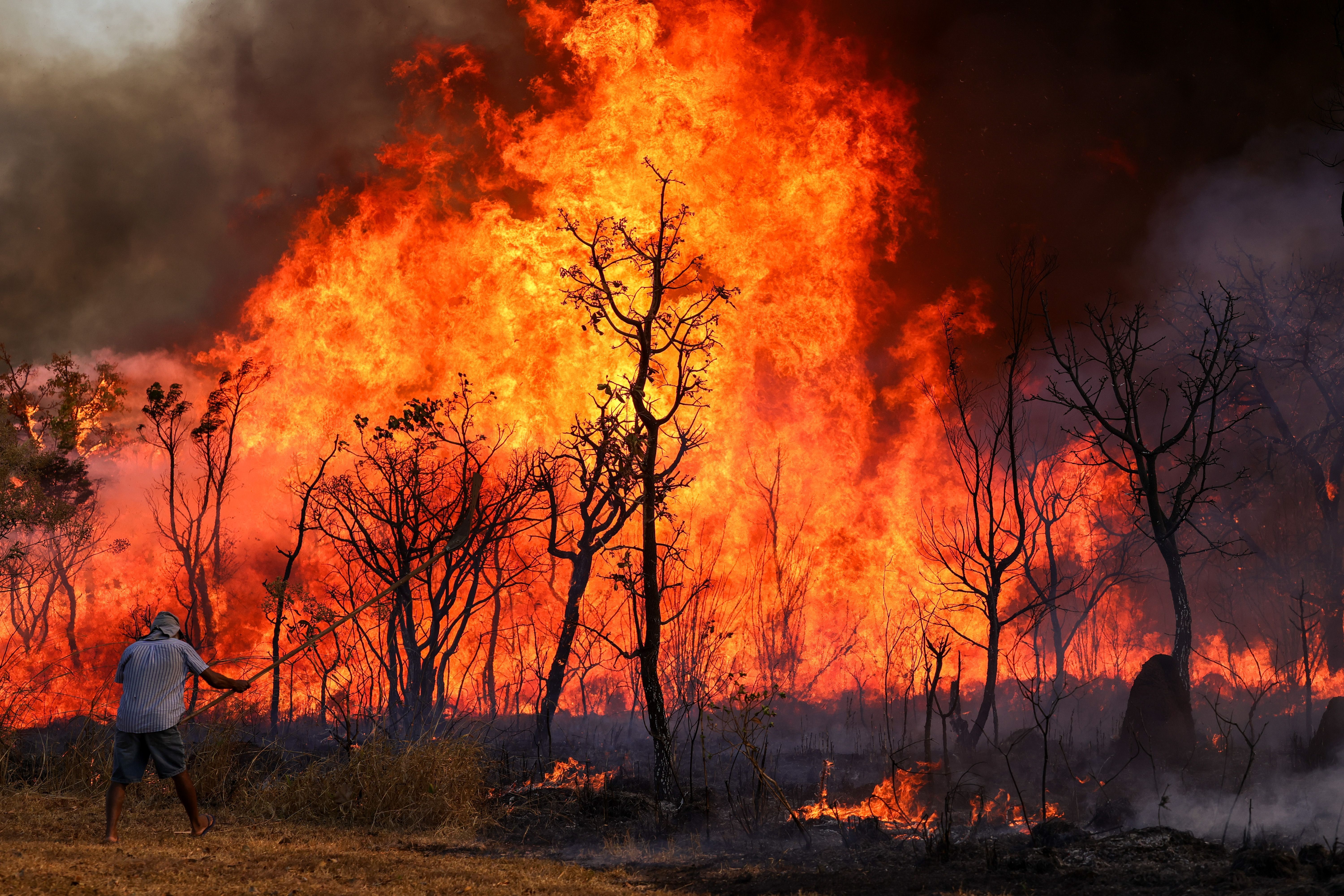 Projeto citado por Marina Silva prevê até 12 anos de cadeia para quem provocar incêndios