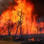 Projeto citado por Marina Silva prevê até 12 anos de cadeia para quem provocar incêndios