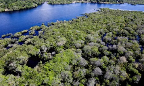 Projeto contra o desmatamento na Amazônia é financiado com recursos de R$ 131,9 milhões do Fundo Amazônia e deve beneficiar cerca de 7,3 mil famílias que vivem na região