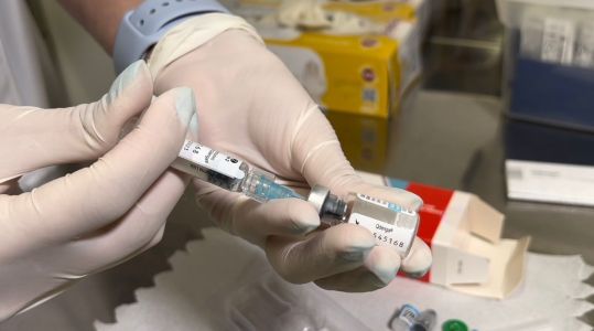 SP vai receber vacinas contra a dengue tão logo existam doses disponíveis, diz Ministério da Saúde | CNN Brasil