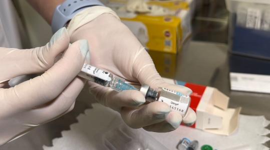 SP vai receber vacinas contra a dengue tão logo existam doses disponíveis, diz Ministério da Saúde | CNN Brasil