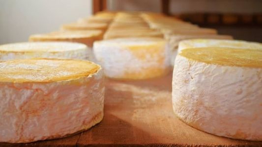 QMA, típico da Serra da Canastra.