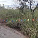 Moradores fazem ‘quadrilha’ para protestar contra más condições de rodovia em Minas