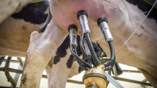 “Qualificação e Modernização da Produção de Leite” será uma das palestras em Oratórios