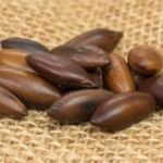 Arinos promove Festival Nacional da castanha de baru