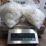 PF faz apreensão recorde de MDMA no Aeroporto de Guarulhos