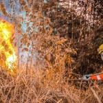 Onda de Calor: Bombeiros alertam para risco de incêndios em Minas