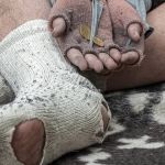 ONU: 165 milhões de pessoas entraram na pobreza em 3 anos de crises