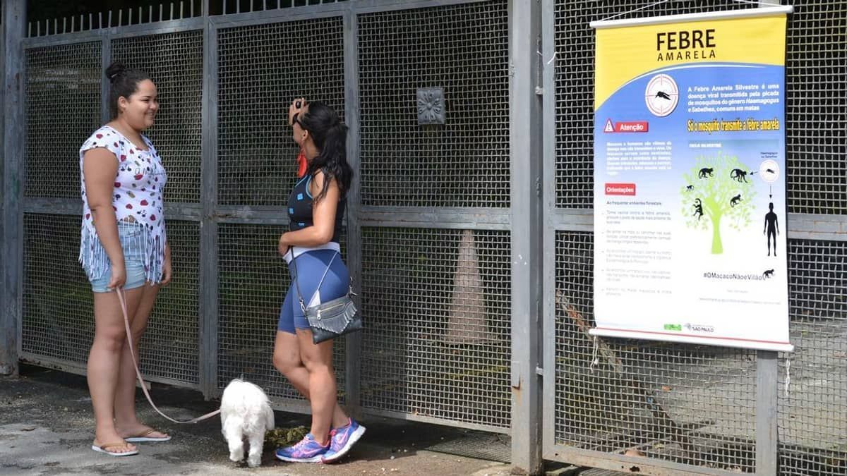 Febre amarela: São Paulo volta a registrar mortes pela doença após dois anos sem casos