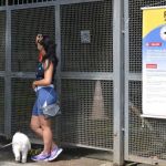 Febre amarela: São Paulo volta a registrar mortes pela doença após dois anos sem casos