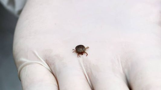 Quatro pessoas morreram após evento em fazenda