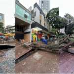 Vídeo: chuva derruba árvore e destrói calçada de quarteirão fechado na Savassi em BH