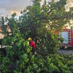 Ventos fortes derrubam árvores, mobilizam Bombeiros e provocam falta de energia em Montes Claros