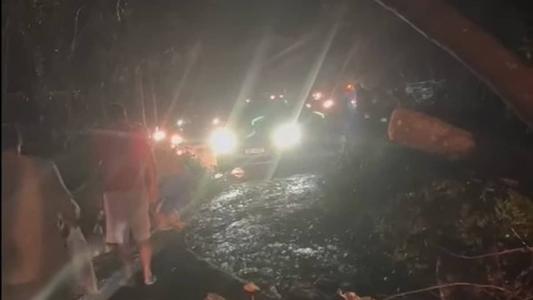Queda de árvore em carro em Ponte Nova obstruiu via