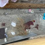 Homem cai de uma altura de 8 metros e fica gravemente ferido em Belo Horizonte  