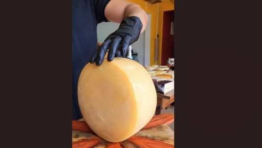 Queijo Capim Mantiqueira, que levou a medalha de prata, é produzido em Cruzília