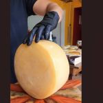 Queijos mineiros conquistam quatro prêmios na World Cheese Awards 2023, o 'Oscar dos Queijos'