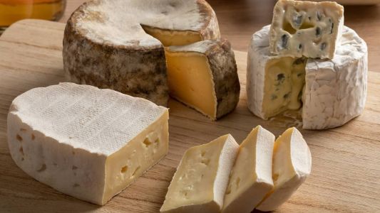 Queijo Casca Florida