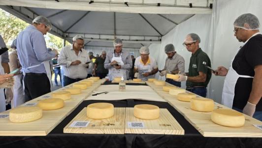 Vencedores do 21º Concurso Regional do Queijo da Canastra concorrem a etapa estadual