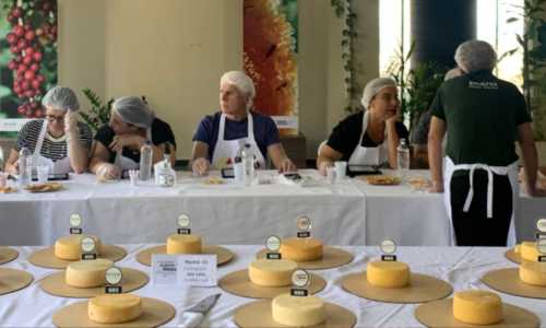 queijo concurso - divulgação claudia garcia emater mg.jpg