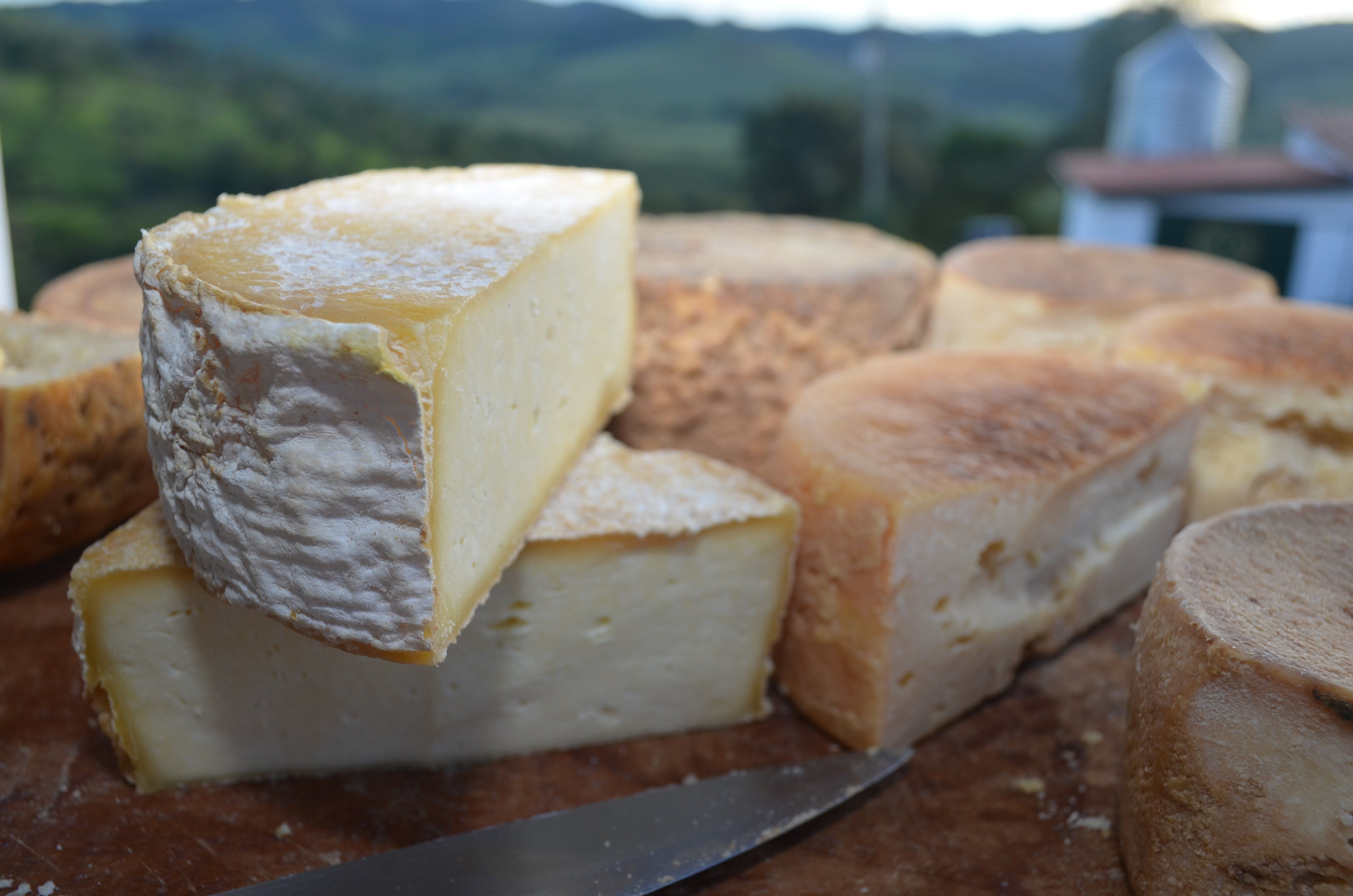 Festival do Queijo Artesanal de Minas terá estande com produtos do Rio Grande do Sul