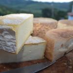 Festival do Queijo Artesanal de Minas terá estande com produtos do Rio Grande do Sul