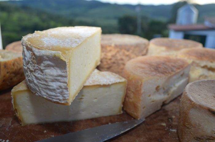 Queijos de 'casca' florida são produzidos com leite cru que visualmente têm fungos, popularmente conhecidos como ‘mofo branco’. 