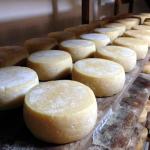 Pesquisa inédita promete transformar a produção e a valorização do Queijo Minas Artesanal do Serro