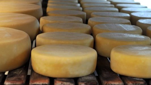 Queijo Minas Canastra