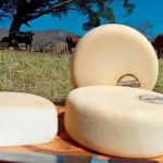 Cidade mineira recebe finais de dois concursos de Queijo Minas Artesanal; saiba mais