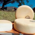 Cidade mineira recebe finais de dois concursos de Queijo Minas Artesanal; saiba mais
