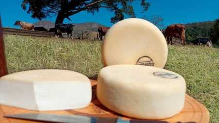 Queijo mineiro é destaque em competições em Coromandel