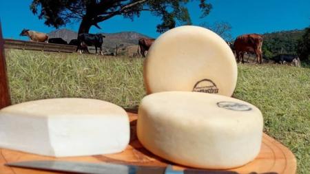 Queijo mineiro é destaque em competições em Coromandel