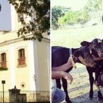 Produtora de queijo perde R$ 19 mil, anuncia no alto-falante de igreja e recupera dinheiro em Minas