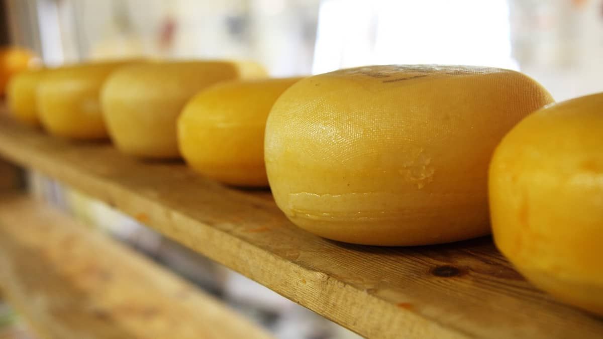 Candidatura a patrimônio imaterial da humanidade já alavanca produção do Queijo Minas Artesanal