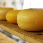 Candidatura a patrimônio imaterial da humanidade já alavanca produção do Queijo Minas Artesanal