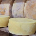 Projeto contribui para qualidade de queijos artesanais no Campo das Vertentes