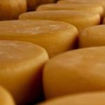 Queijos mineiros supercampeões na França