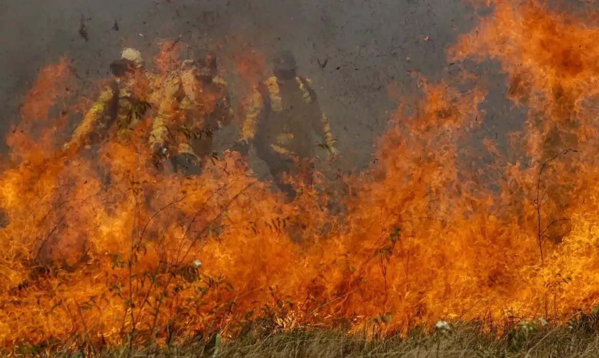 Câmara aprova punição mais alta para quem provocar incêndio florestal