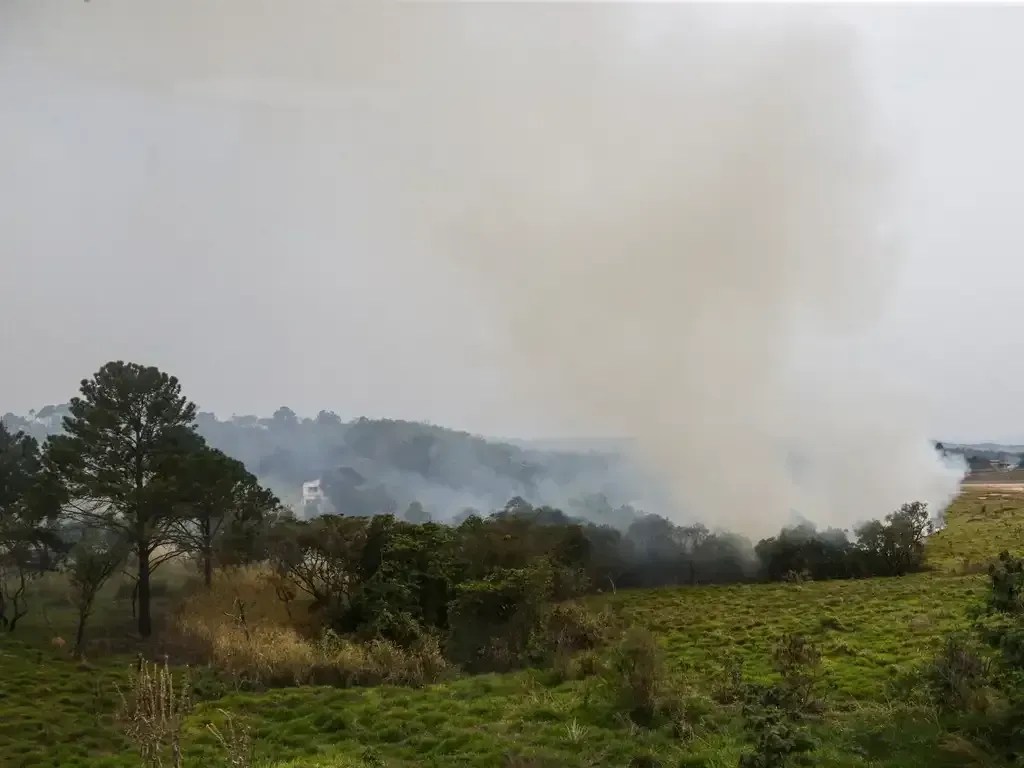 Polícia Civil prende sexta pessoa suspeita de incendiar área de mata em São Paulo