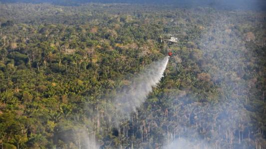 Queimadas: Amazonas registrou segundo pior setembro desde 1998.