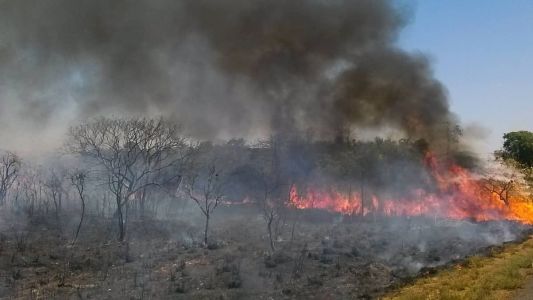 Queimadas aumentaram em 14% na região da Amazônia