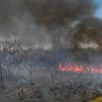 Queimadas caem 1% no Brasil, mas crescem 14% na Amazônia, diz MapBiomas